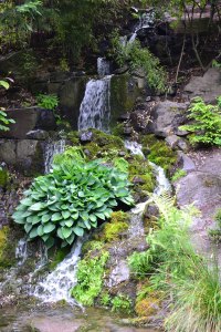 Crystal Springs Rhododendron Garden, Portland OR