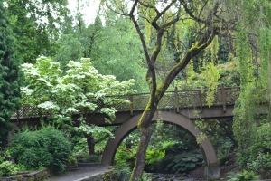 Crystal Springs Rhododendron Garden, Portland OR