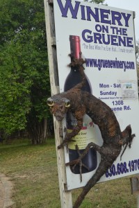 A Gruene Gecko?