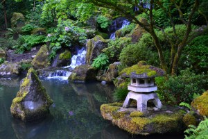Japanese Tea Garden, Portland OR