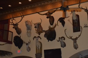The Buckhorn Saloon