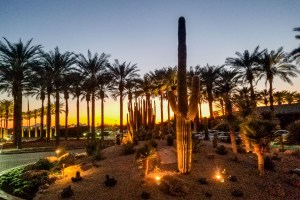 Arizona, Scottsdale, Westin Resort